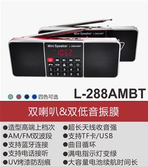 L-288AMBT